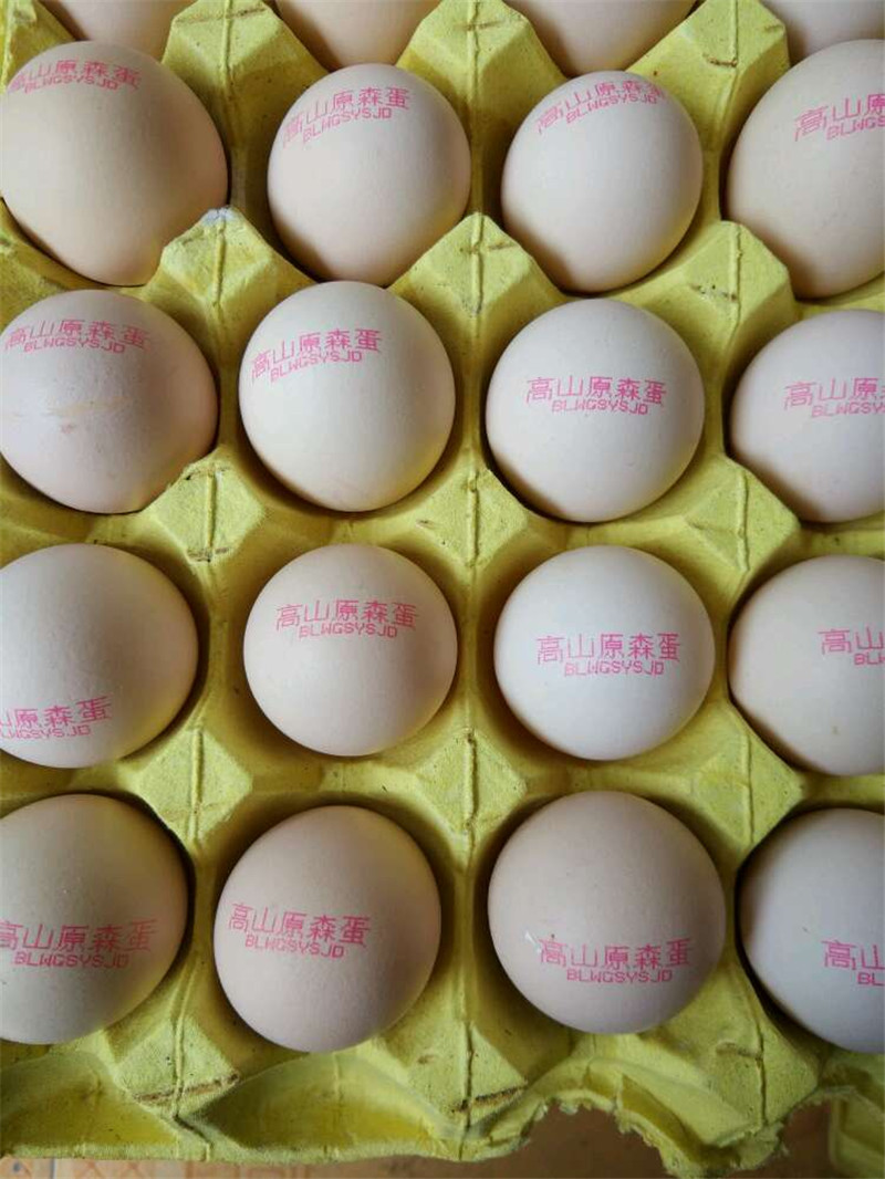鸡蛋喷码样品